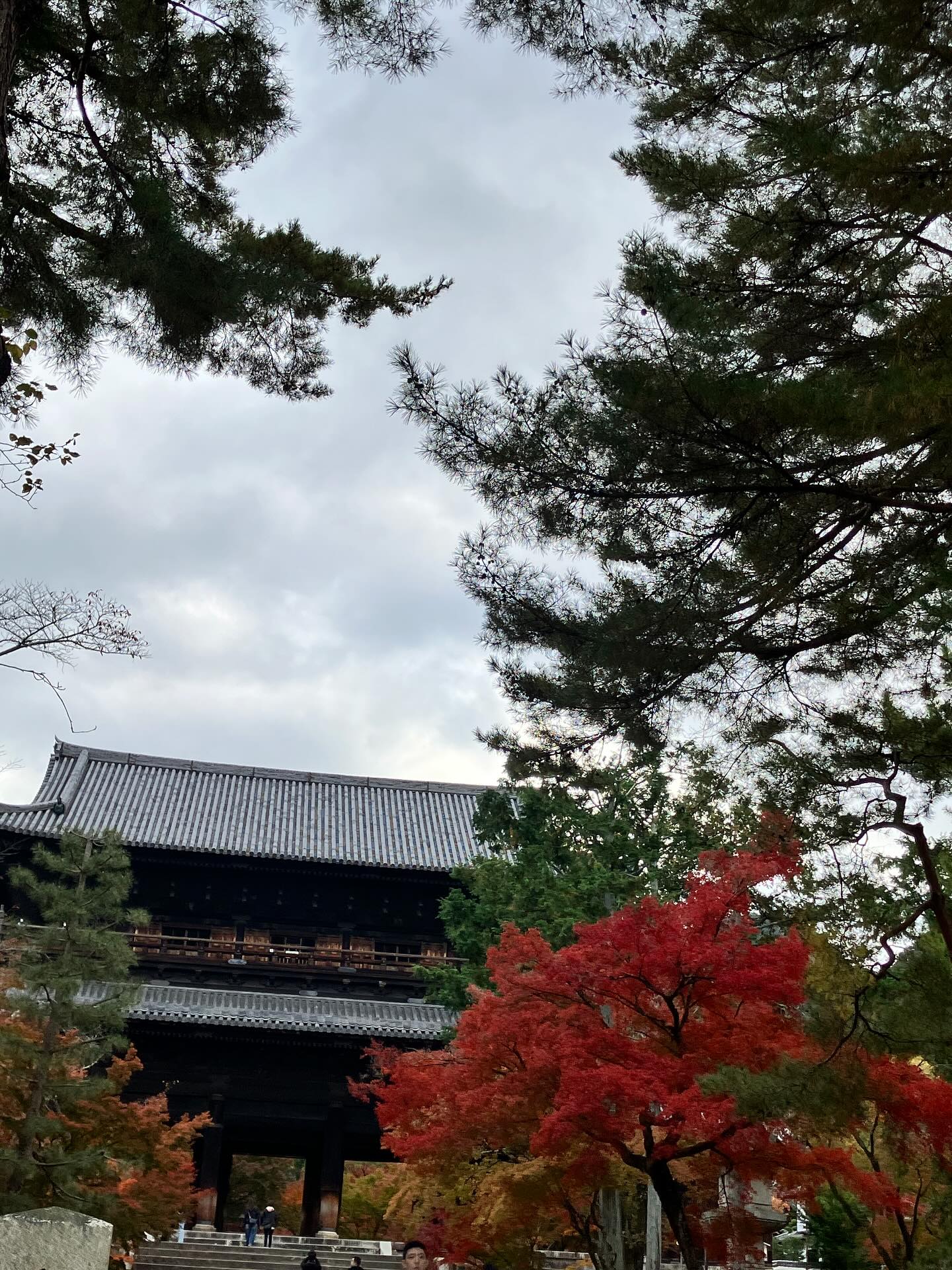 赤秋。青春に対しての言葉。秋の京都は素晴らしい。月とのイメー ...