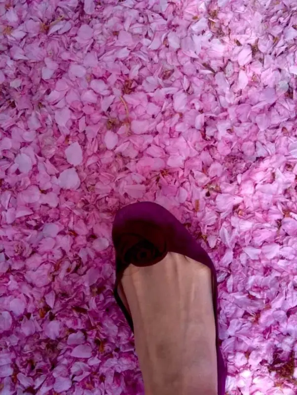 2021年4月27日の満月は、幸せをもたらす「ピンクムーン」！