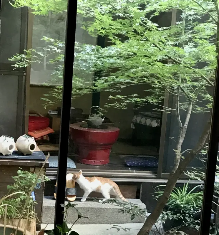 町家暮らしのおはなし会『自然体でいこう』