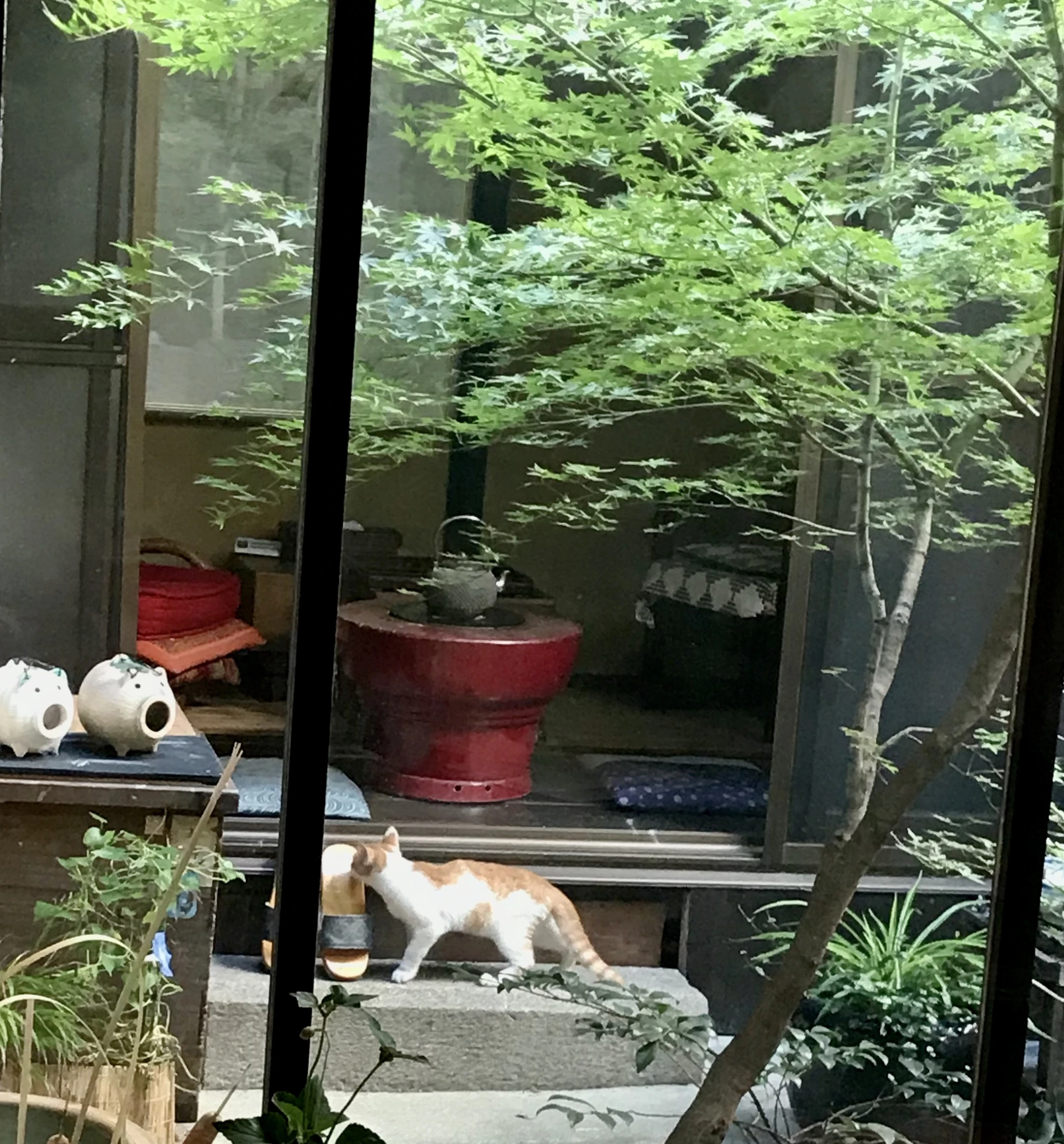 町家暮らしのおはなし会『自然体でいこう』